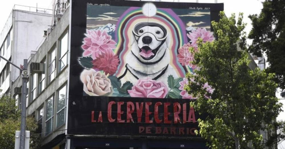 В Мехико создали граффити с собакой, спасшей более 50 человек во время бедствия