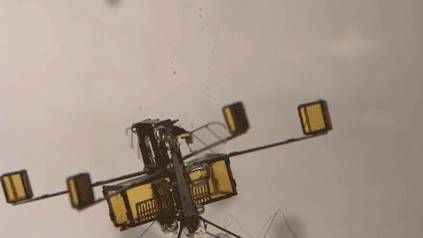 Учёные из Гарварда представили новую версию гибридной робопчелы