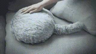 Котики не нужны. В Японии изобрели робота-подушку с хвостом