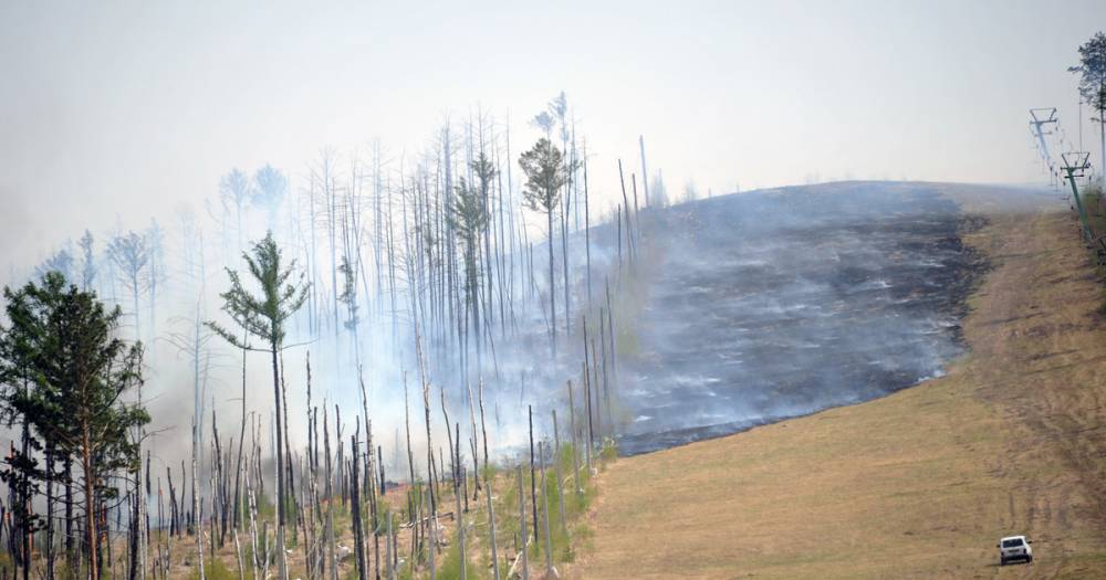 Площадь лесных пожаров в Приморье увеличилась почти на 700 гектаров