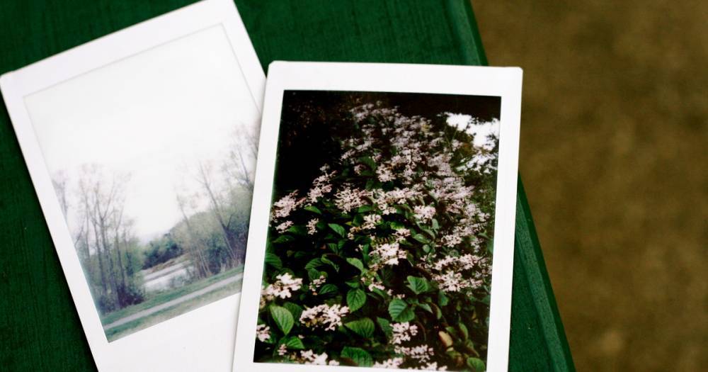 Polaroid судится с Fujifilm из-за моментальных фотографий с белыми рамками - life.ru - Япония - Нью-Йорк - Новости