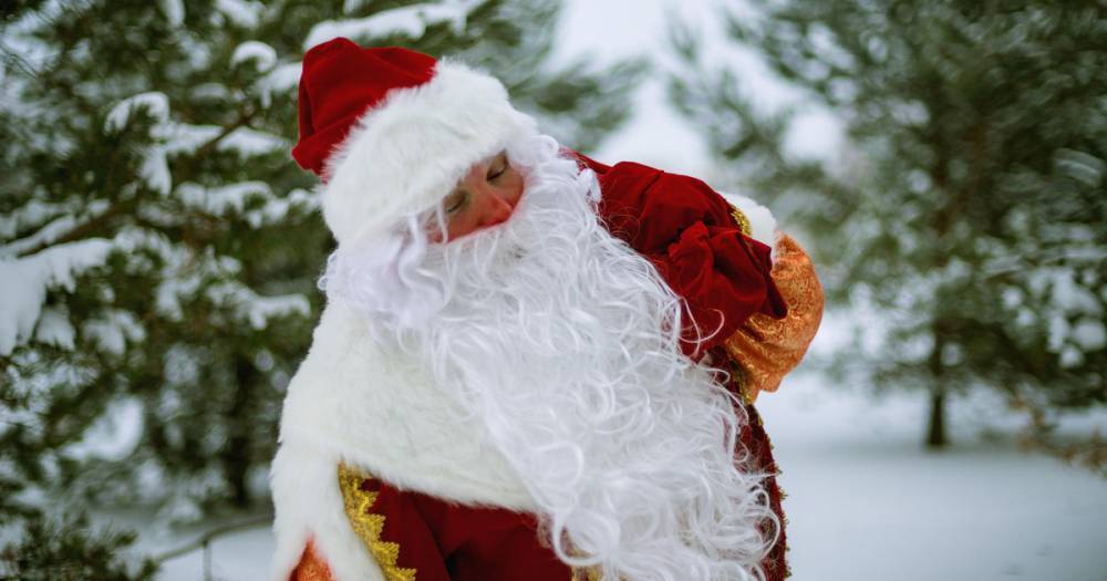 В российские детсады запрещают приглашать Дедов Морозов