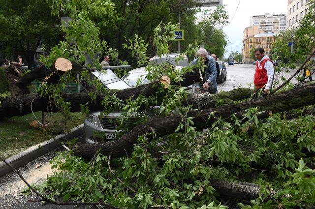 Власти города сообщили о почти 170 пострадавших от урагана в Москве