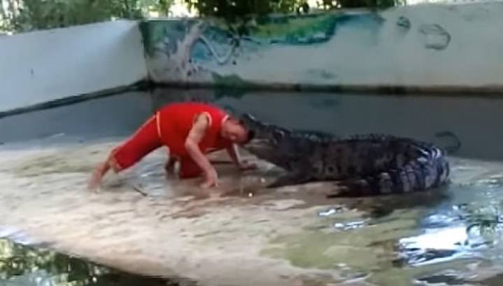Крокодил укусил дрессировщика за голову на шоу в Таиланде. Видео