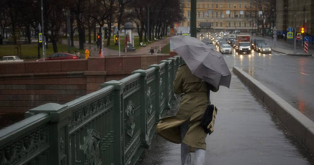 МЧС объявило экстренное предупреждение из-за усиления ветра в Москве
