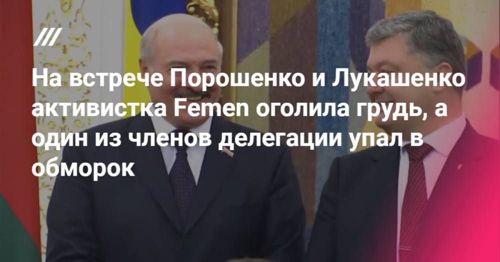На встрече Порошенко и Лукашенко активистка Femen  оголила грудь, а один из членов делегации упал в обморок