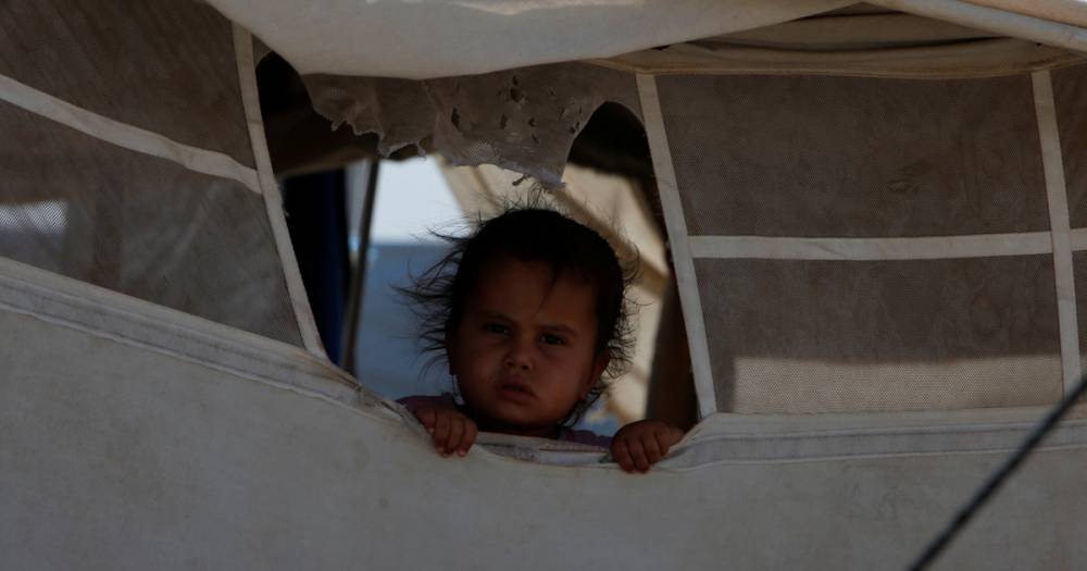 Власти Великобритании не могут найти более 100 детей-беженцев