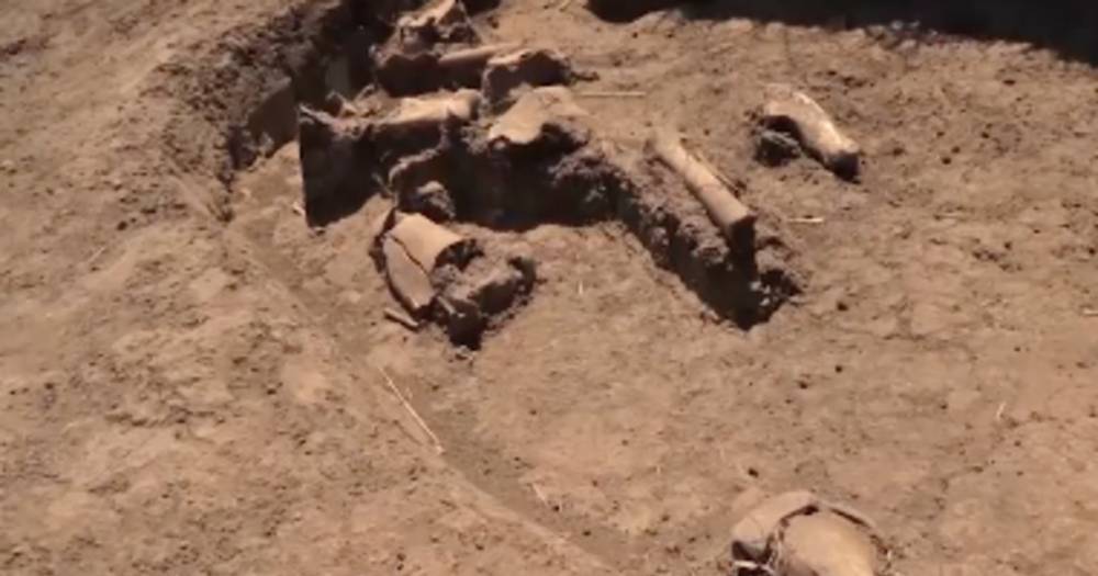 Археологи проводят раскопки в окрестностях посёлка Обрыв на юге ДНР. LifeDoc