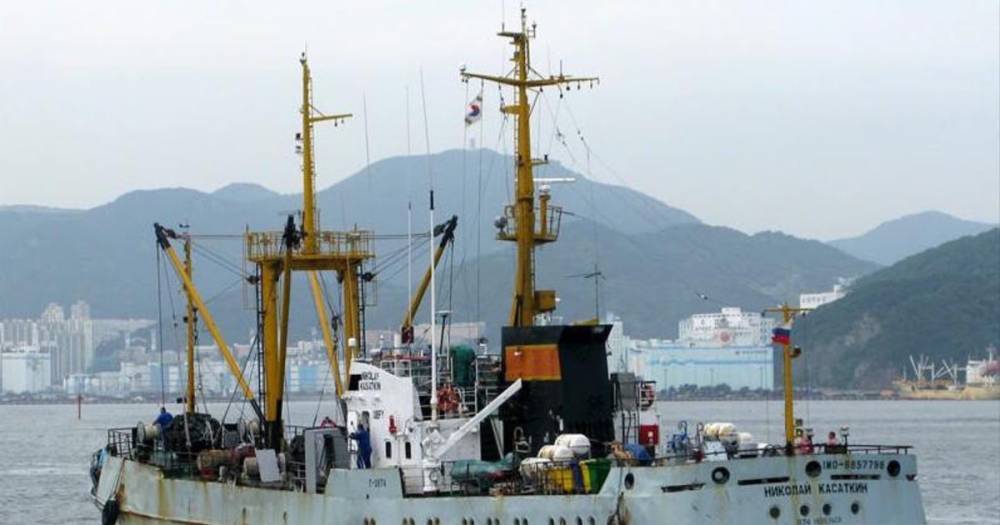 В Японском море ведутся поиски моряка с российского судна "Николай Касаткин"