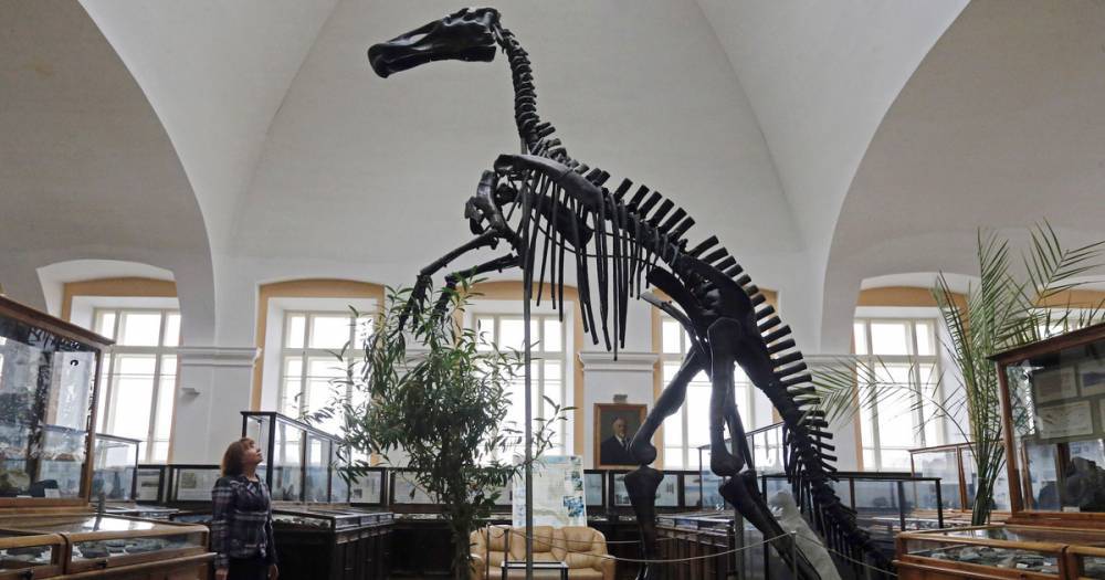 Убивший динозавров астероид на два года оставил Землю без солнечного света