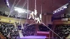 Российская гимнастка сорвалась во время выступления в гомельском цирке – видео