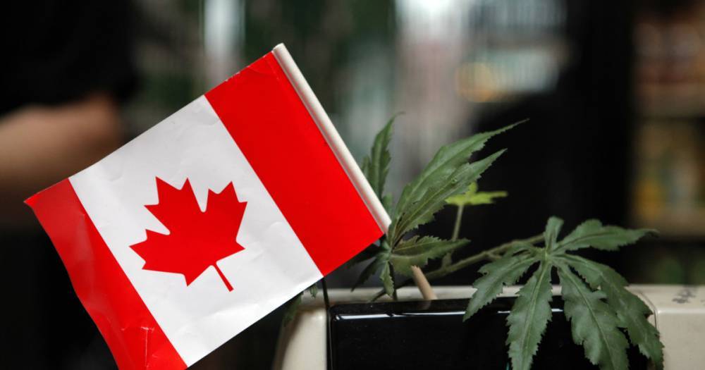 В Канаде на пятый день легализации закончилась марихуана