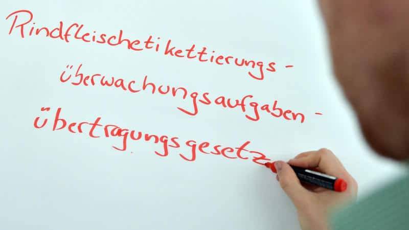 Самые длинные слова в немецком языке