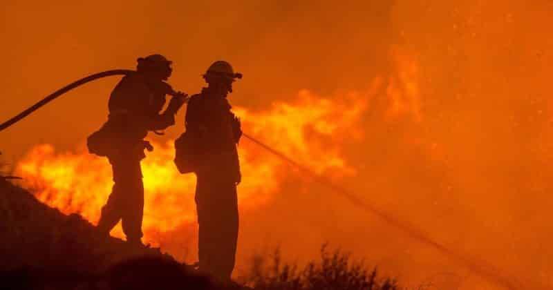 Ущерб от лесных пожаров в Калифорнии оценили в $13 млрд