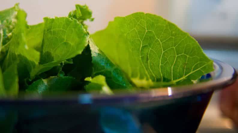 CDC сообщает о новой вспышке E. coli, заразившей 50 человек, источник – салат ромэн