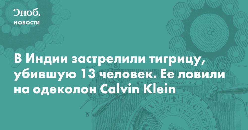 В Индии застрелили тигрицу, убившую 13 человек. Ее ловили на одеколон Calvin Klein