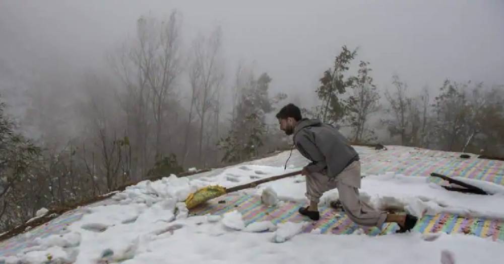 Потерянный урожай и пробки. В Кашмире впервые за 10 лет снег выпал в ноябре