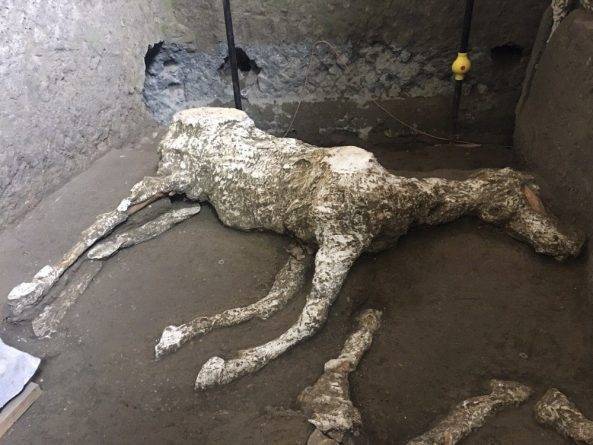 Учены нашли лошадь, которая погибла во время извержения Везувия, уничтожившего Помпеи