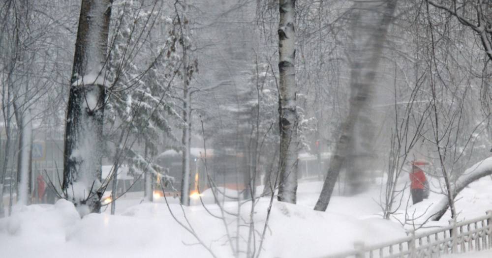 МЧС предупредило о морозе, снеге и гололедице в Подмосковье в ночь на 21 февраля