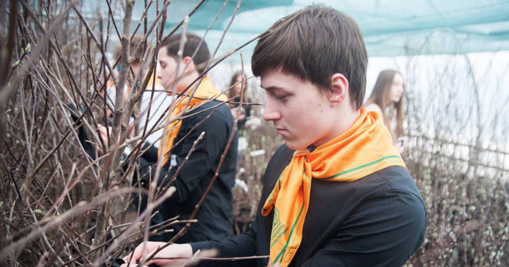 Студенты Тимирязевки передадут в Кемерово 64 яблони в память о погибших