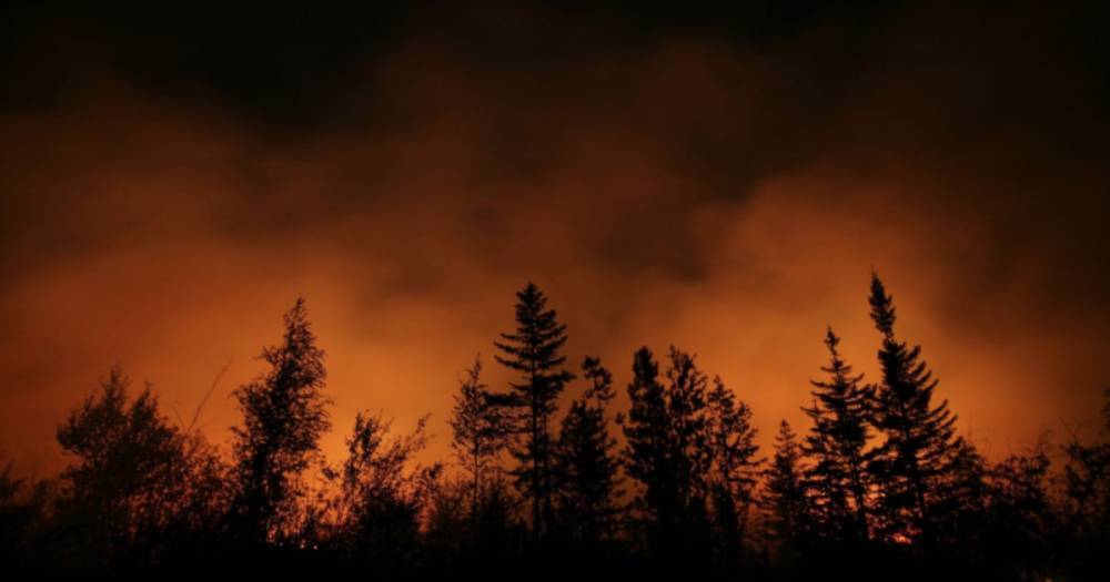 В России горит более 66,4 тысячи гектаров леса