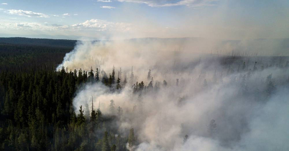 В России огнём охвачено почти 18 тысяч га леса