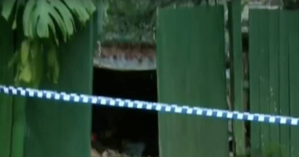 В доме скончавшегося в 2017 году барахольщика в Австралии нашли мумию