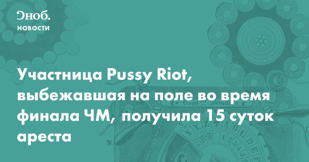 Участница Pussy Riot, выбежавшая на поле во время финала ЧМ, получила 15 суток ареста