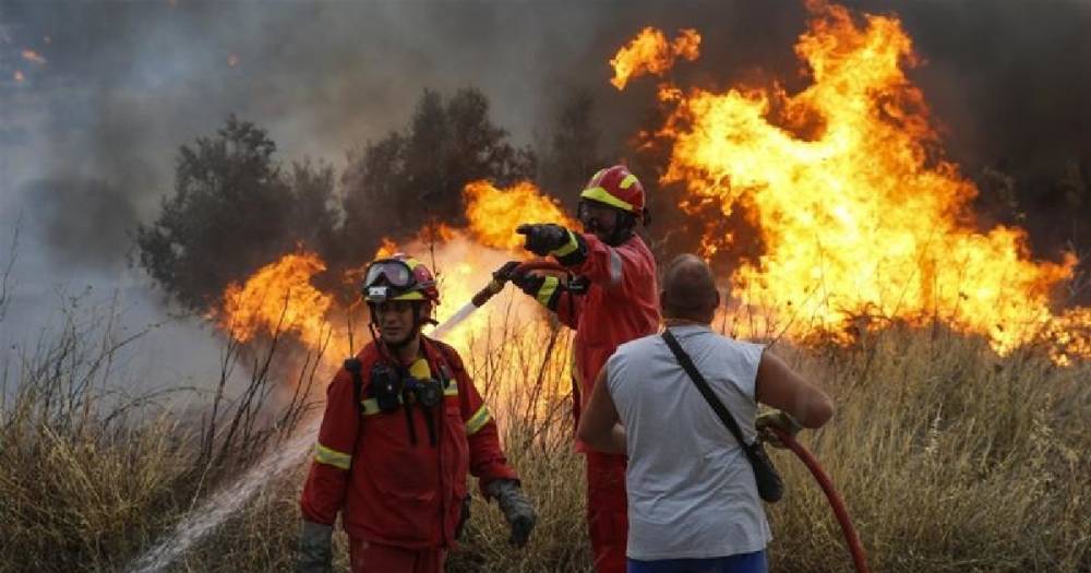 В Греции из-за лесного пожара два человека погибли, более 20 пострадали