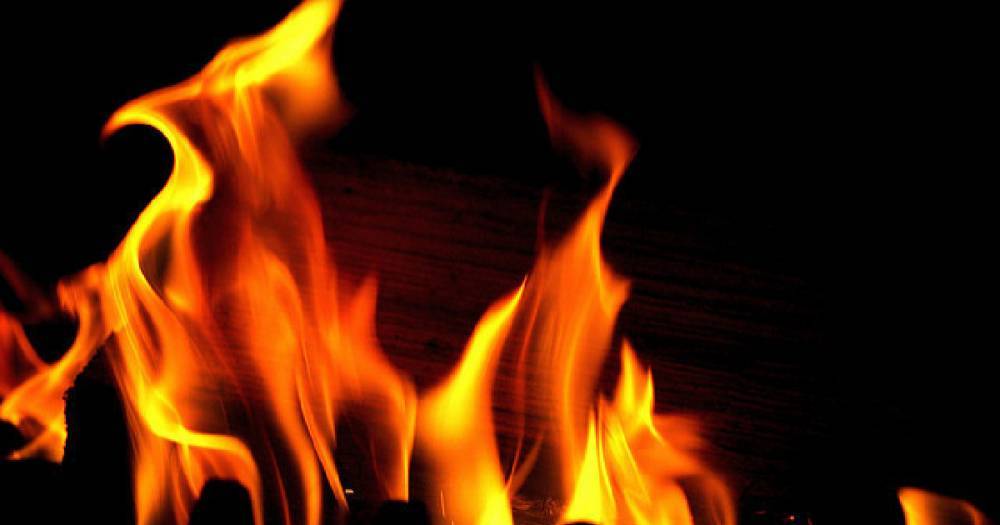 Число жертв лесных пожаров в пригородах Афин возросло до 50 человек - life.ru - Греция - Новости