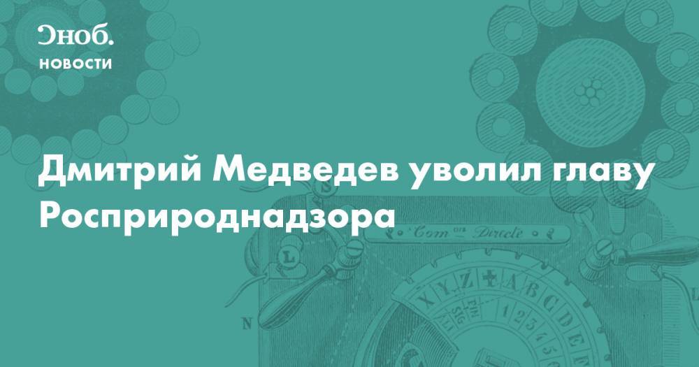 Дмитрий Медведев уволил главу Росприроднадзора
