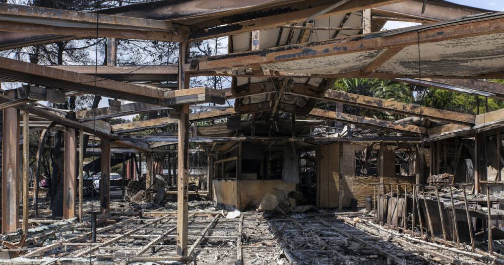 Число жертв лесных пожаров в Греции увеличилось до 93