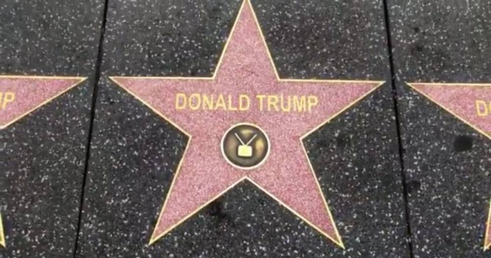 На Аллее славы в Голливуде появилось 50 звёзд Трампа
