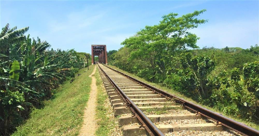 Куба впервые за 60 лет допустит иностранцев к управлению железными дорогами
