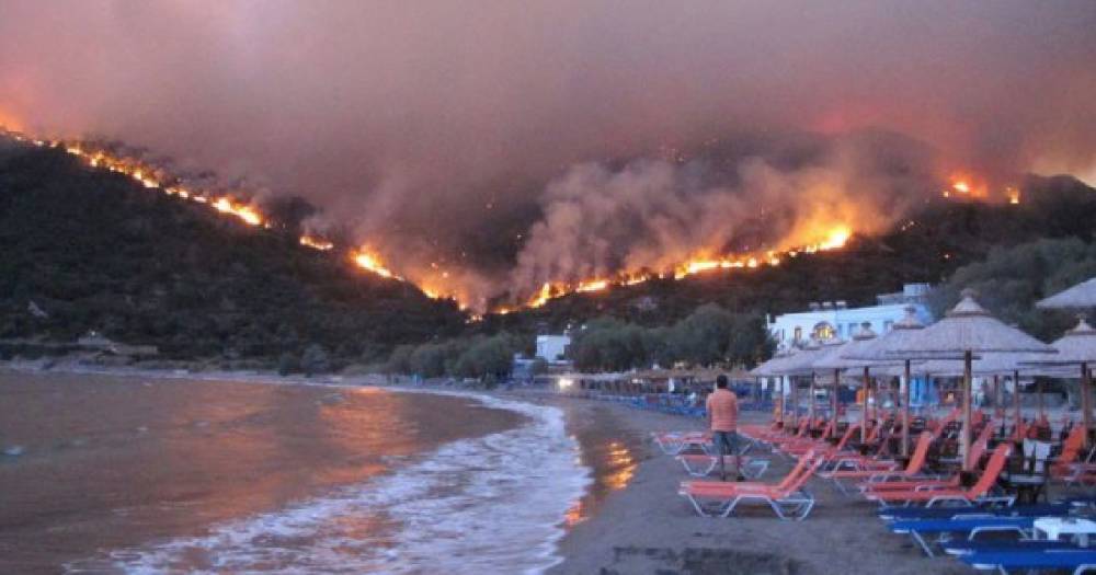 В Греции после лесных пожаров сменили руководителей пожарной службы и полиции