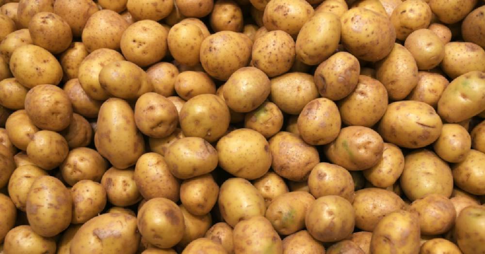 Роскачество рассказало, какая картошка — самая вкусная