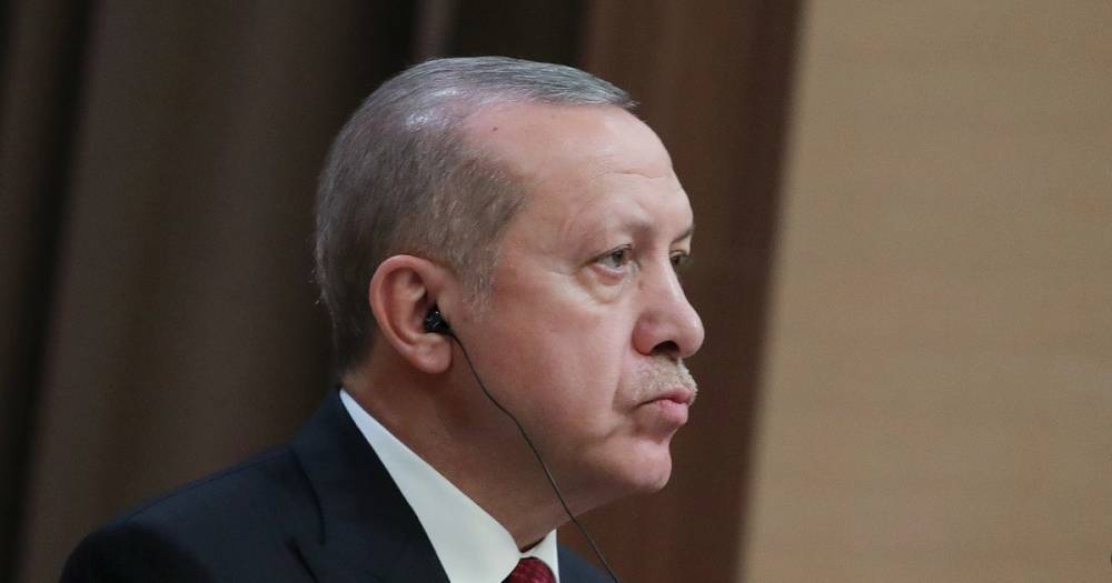 Эрдоган рассказал, как Турция и Германия отстаивали право закупать газ у России