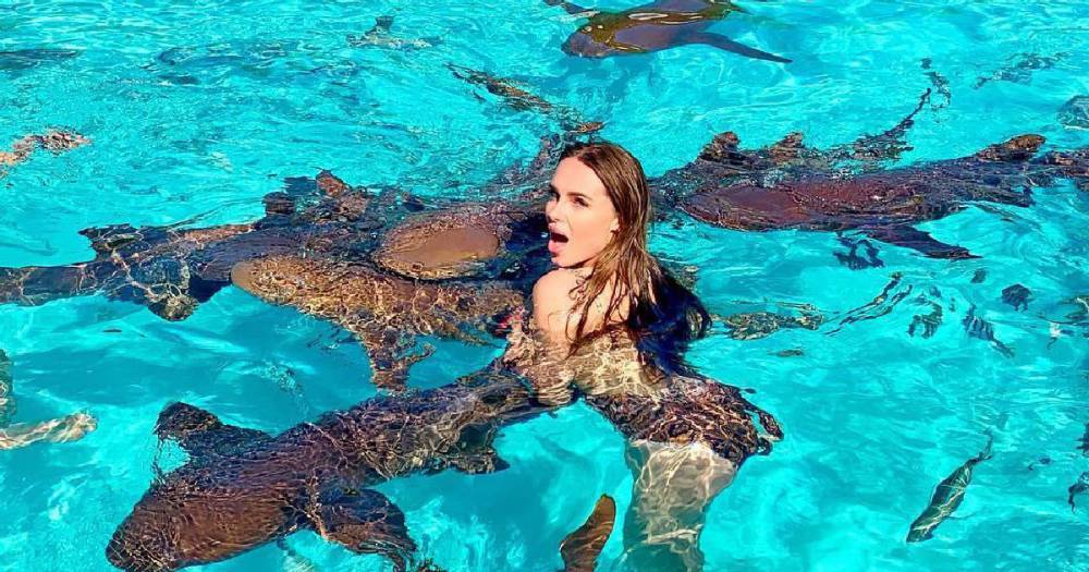 Певицу Ханну укусила акула на Багамах - life.ru - Багамы - Новости