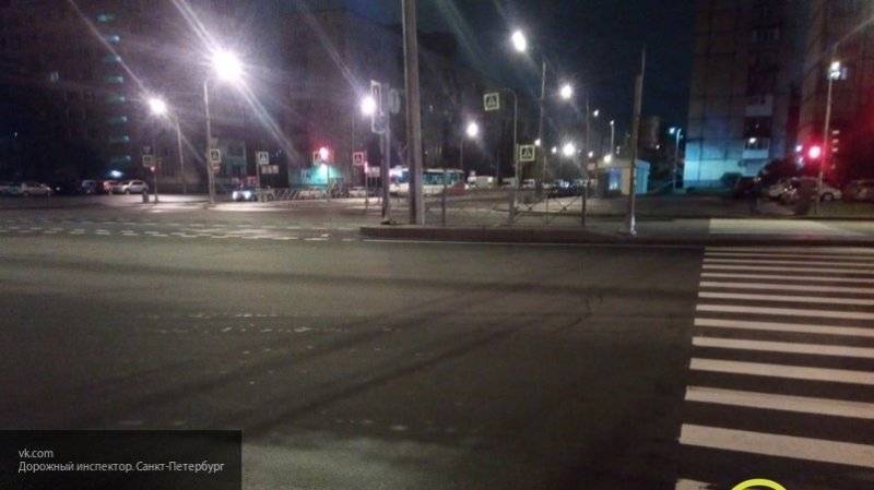 Автоледи на каршеринге сбила двоих детей на "зебре" в Петербурге
