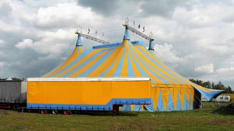 Второй стационарный цирк собираются открыть в Петербурге
