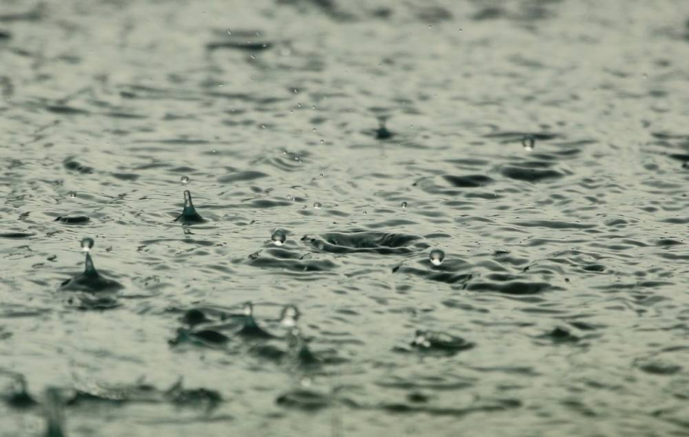 Синоптики прогнозируют дожди на территории Карелии