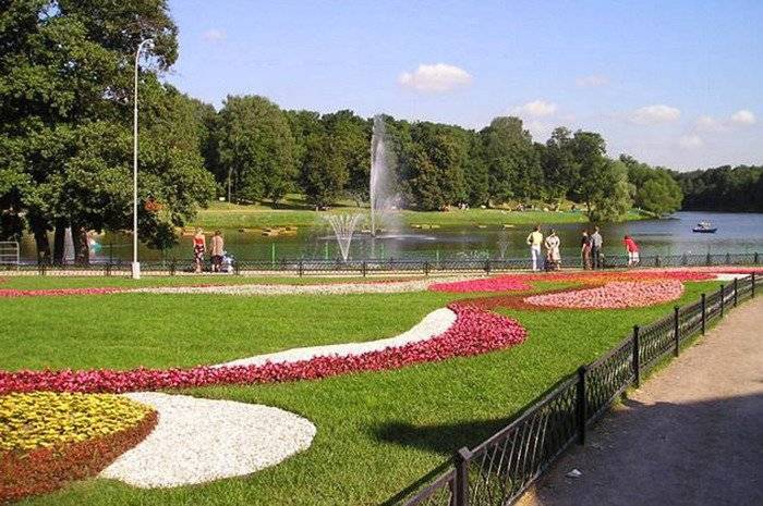 В московских парках можно посетить уроки английского языка