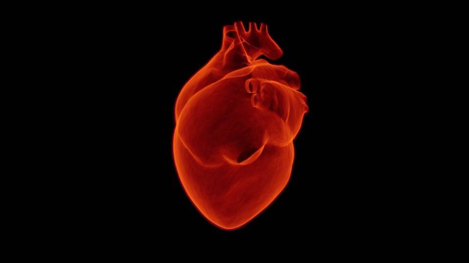 Российские ученые придумали способ полностью восстановить сердце после инфаркта