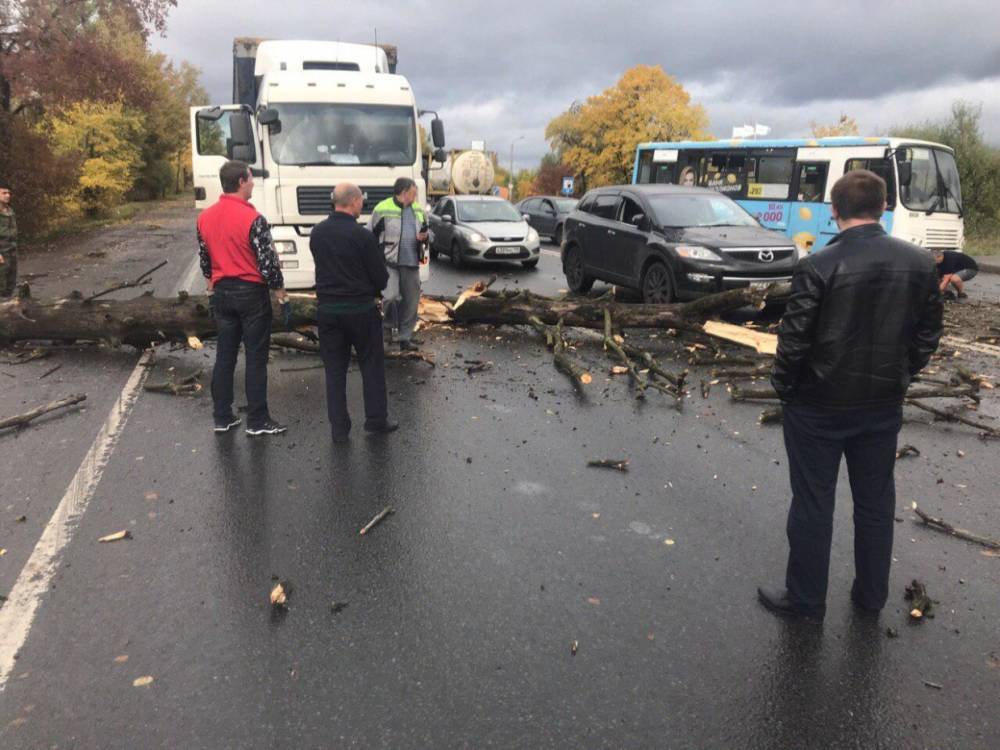На трассе у Ленсоветовского поселка на Mazda упало дерево