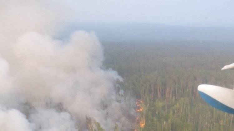 Все действовавшие в России лесные пожары потушены