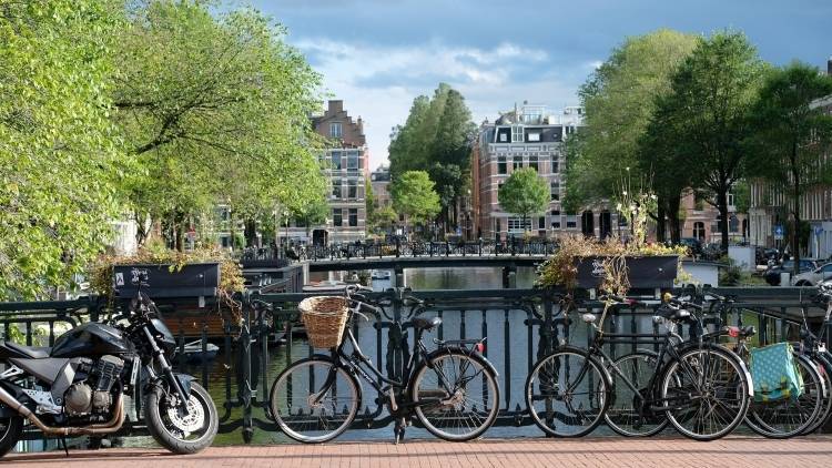 Власти Амстердама решили ввести «налог на кровать» для туристов