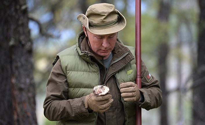 DN: мачо Путин кладет грибы в карман