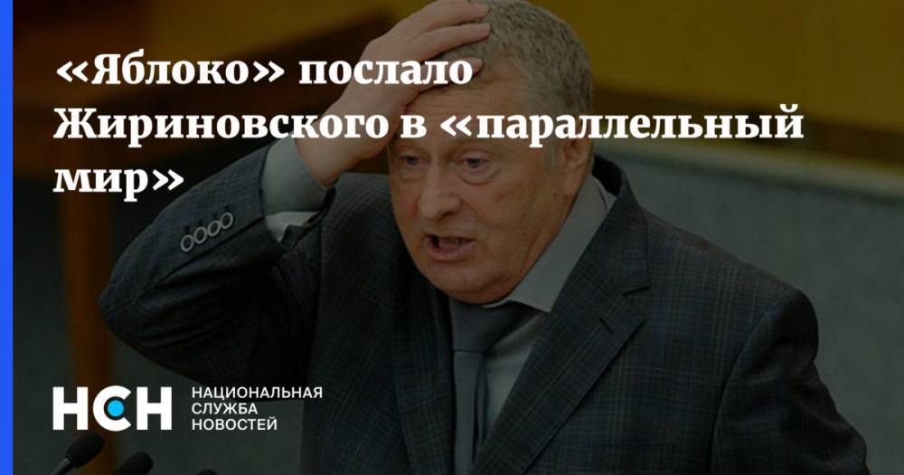 «Яблоко» послало Жириновского в «параллельный мир»