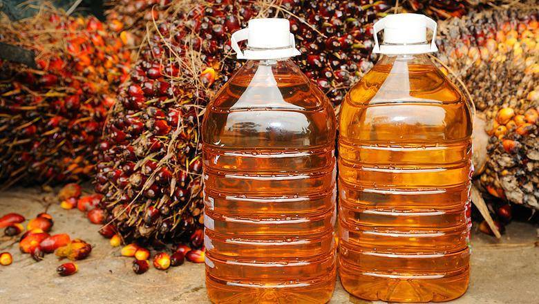В России сократят импорт вредного для здоровья пальмового масла