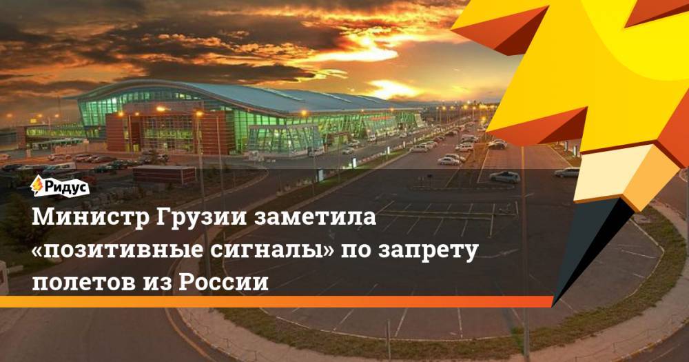 Министр Грузии заметила «позитивные сигналы» по запрету полетов из России